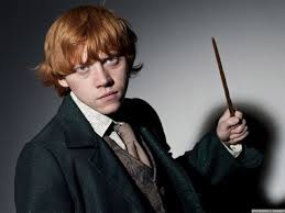 samuel weasley gomes